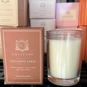 Aquiesse Cinnamon Tabac Luxury Scented Candle 6.5 oz NEW